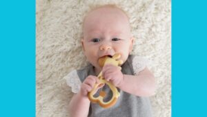 Baby Teether