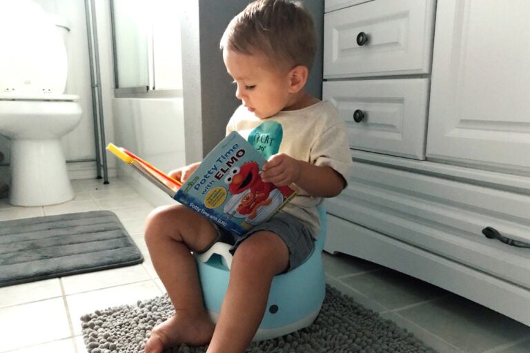 Best Potty Training Chair